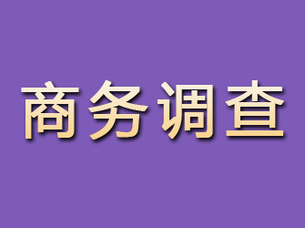 淅川商务调查